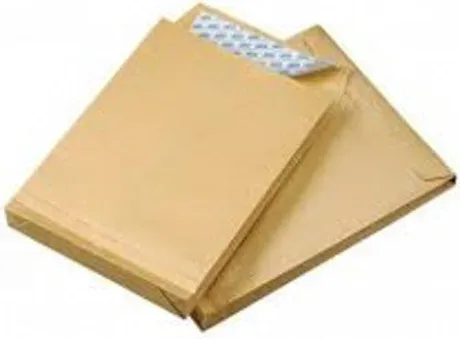Caja 250 Bolsas Din C4 (229X324) Bolsa Fuelle 229X324X30 Kraft 120 Grs. Fuelle 3 Lados - Autosam Tira Silicona Sam 149015
