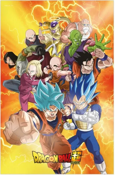 Poster 3d 58x38cm universal survival heroes dragon ball super