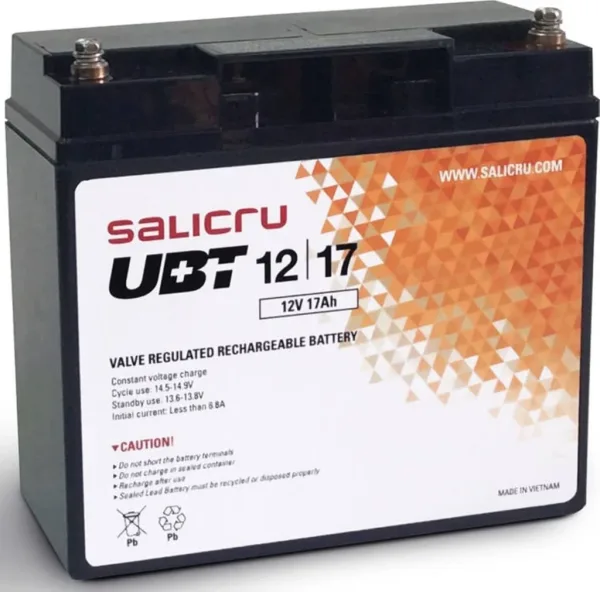 Salicru UBT 12/17 - Batería AGM recargable de 17 Ah