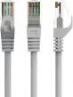 Cable Red Gembird Utp Cat6 0,25M Gris