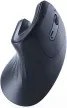 RATON GEMBIRD OPTICO ERGONOMICO 6 BOTONES NEGRO RF INALAMBRICO PILAS