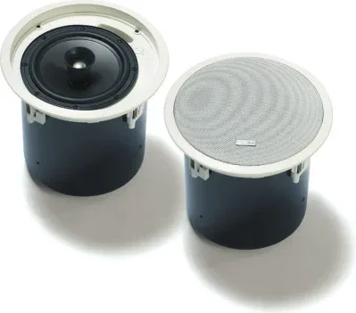 Bosch Lc2-Pc30G6-8L Pack de 2 Uds Altavoz Techo, 30W, 8", Bajo