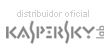 Gormtica es distribuidor oficial de Kaspersky